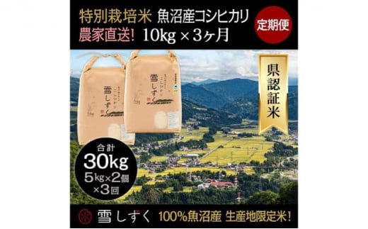 【令和6年産】定期便！農家直送！県認証特別栽培魚沼産コシヒカリ【合計30kg】毎月10kg×3回 1091212 - 新潟県十日町市