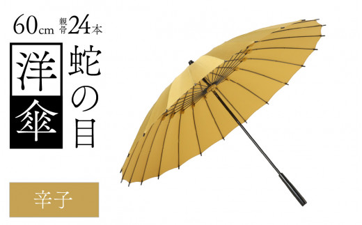 蛇の目洋傘　雨傘(親骨60㎝)　カラー10色 [N-035008_02] 1257334 - 福井県福井市