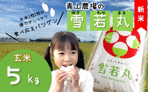 【令和6年産・玄米】青山農場の特別栽培米雪若丸5kg
