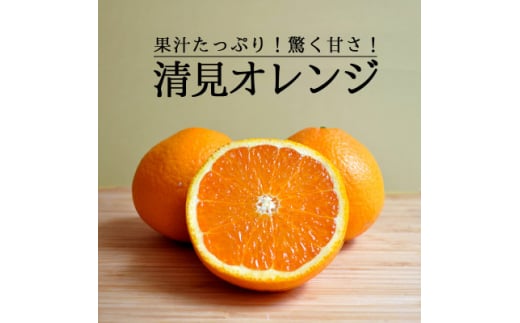 愛媛・八幡浜産「清見タンゴール:5kg」＜訳あり＞＜C48-53＞【1450566】 1044244 - 愛媛県八幡浜市