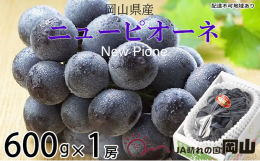 ぶどう 2026年 先行予約 ニュー ピオーネ 約600g×1房 ブドウ 葡萄  岡山県産 国産 フルーツ 果物 ギフト 果物類 ニューピオーネ 酸味 大粒 種なし 人気 高糖度 甘い 果汁 