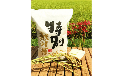 6ヶ月定期便】相良村産 特別栽培米 にこまる 5kg｜ふるラボ