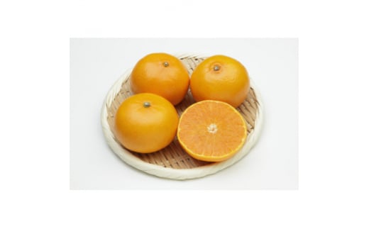 柑橘の鬼たちがつくる八幡浜産・せとか(2.7kg～3.0kg)[贈答用]＜D56-21＞【1283618】