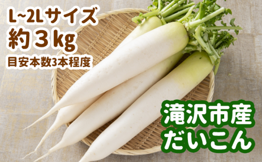 令和６年度産 滝沢市産だいこん L～２Lサイズ 約3kg 【滝沢産業開発】 / 大根 根菜 野菜 セット 1517896 - 岩手県滝沢市