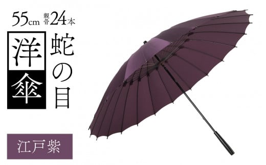 蛇の目洋傘　雨傘(親骨55㎝)　カラー10色 [K-035003_10] 1257332 - 福井県福井市