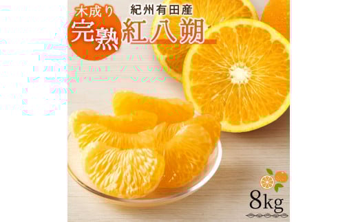 【先行予約】紀州有田産木成り完熟紅八朔８kg ※2026年2月末頃〜2026年3月中旬頃に順次発送予定（お届け日指定不可）/ みかん 不知火 和歌山 フルーツ 有田【uot795】 2207676 - 和歌山県北山村