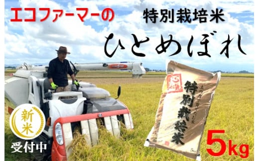 【令和6年産・精米】エコファーマーの特別栽培米ひとめぼれ5kg