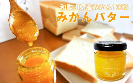和歌山県 みかんバター 240g(80g×3瓶) 1256606 - 和歌山県由良町