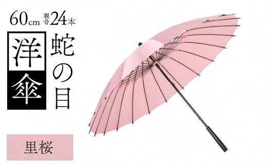 蛇の目洋傘　雨傘(親骨60㎝)　カラー10色 [N-035008_03] 1257335 - 福井県福井市