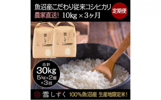 【令和6年産】定期便！魚沼産こだわり従来コシヒカリ【合計30kg】毎月10kg×3回