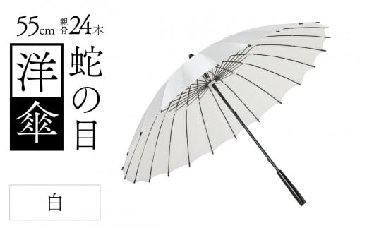 蛇の目洋傘　雨傘(親骨55㎝)　カラー10色 [K-035003_01] 1257323 - 福井県福井市