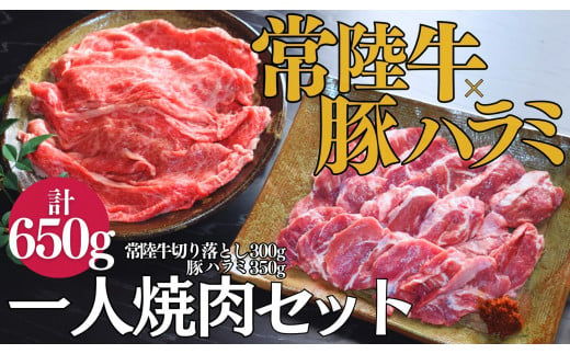 【超堪能！】常陸牛（300g）×豚ハラミ（350g）　一人焼肉セット 1257996 - 茨城県鉾田市
