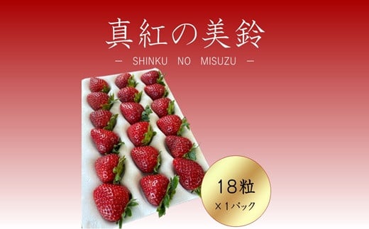 シエルファーム 大粒 黒いちご 18粒 真紅の美鈴 / 高級 いちご 苺