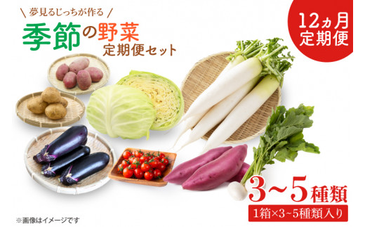 CN-8 【12ヶ月定期便】 夢見るじっちが作る季節の野菜セット 3～5種類入り1箱