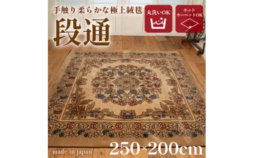 絨毯 ラグマット 3畳 長方形 250×200 洗える 厚手 キャニオン ベージュ【1253868】 1261718 - 和歌山県橋本市
