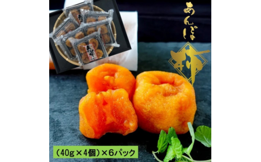 あんぽ柿　(40g×4個)×6パック【1373047】 1261835 - 和歌山県橋本市