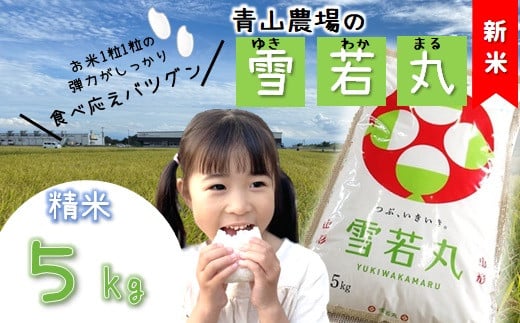 【令和6年産・精米】青山農場の特別栽培米雪若丸5kg