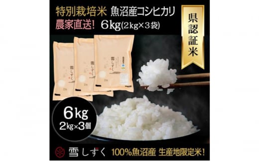 令和6年産！県認証特別栽培魚沼産コシヒカリ【農家直送！】 6kg(2kg×3袋) 1091203 - 新潟県十日町市