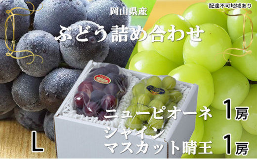 ぶどう 2026年 先行予約 ニュー ピオーネ 1房 約400g シャイン マスカット 晴王 1房 約400g（Lサイズ）詰め合わせ 岡山県産 国産 フルーツ 果物 ギフト 