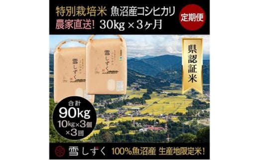 定期便！農家直送！県認証特別栽培魚沼産コシヒカリ【合計90kg】毎月30kg×3回 1091216 - 新潟県十日町市