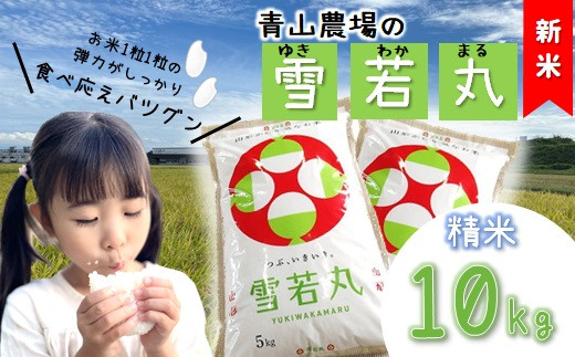 【令和6年産・精米】青山農場の特別栽培米雪若丸10kg（5kg×2袋）