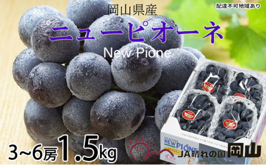 ぶどう 2026年 先行予約 ニュー ピオーネ 3房～6房 約1.5kg ブドウ 葡萄  岡山県産 国産 フルーツ 果物 ギフト 果物類 ニューピオーネ 酸味 大粒 種なし 人気 高糖度 甘い 果汁 