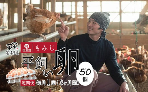 【定期便3ヶ月】 平飼いたまご 50個×3ヶ月間 【 卵定期便 たまご定期便 平飼い卵 非遺伝子組み換え 自家配合 たまご タマゴ 平飼い 卵 国産 純国産鶏 もみじの平飼い卵 京都奥丹波 綾部 京都 蓮ヶ峯農場 】 1256802 - 京都府綾部市