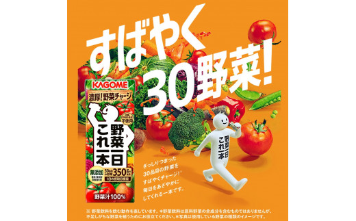 定期便 6ヶ月 】 カゴメ 野菜一日これ一本 200ml×24本入 一日分の野菜