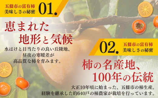 たねなし柿 訳あり 約5kg 20個～30個 - 奈良県五條市｜ふるさと