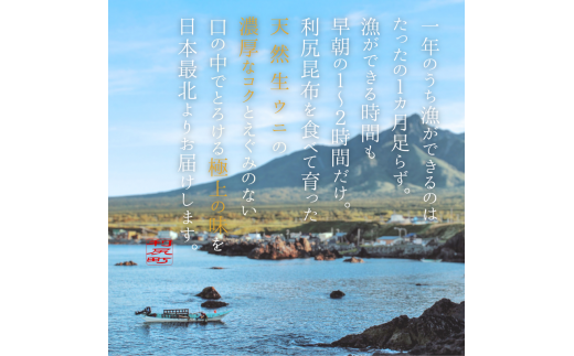 北海道利尻島産「朝どり」生うに塩水パック80g（蝦夷バフンウニ