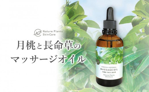 【Nature Plants Skin Care】月桃と長命草（ボタンボウフウ）のマッサージオイル 809604 - 沖縄県南城市