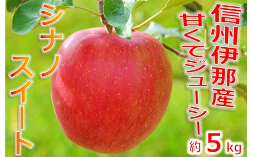 【012-16】シナノスイート　5キロ　信州が生んだ最高においしいりんごです（りんご・リンゴ・林檎） 853235 - 長野県伊那市