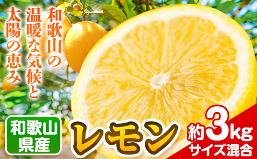 和歌山県産レモン 約3kg (サイズ混合) 厳選館 《3月中旬-6月中旬頃出荷》 和歌山県 日高町 レモン 柑橘 果物 フルーツ 送料無料