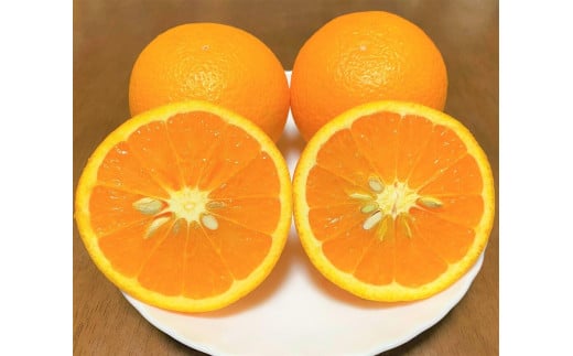 清見オレンジ約5kg （15個前後）L~3Lサイズ【地元印南町産】 1257696 - 和歌山県印南町