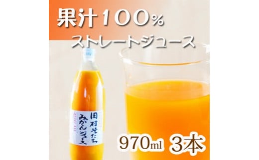 果汁100％田村そだちみかんジュース　970ml×3本