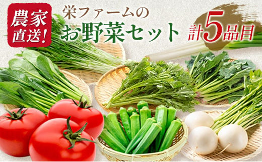 農家直送！栄ファームのお野菜セット 1262112 - 広島県北広島町