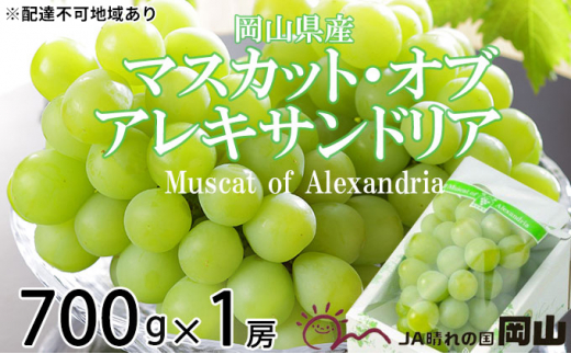ぶどう 2026年 先行予約 マスカット ・オブ・アレキサンドリア 約700g×1房  ブドウ 葡萄  岡山県産 国産 フルーツ 果物 ギフト 岡山のブドウ デザート 食べ物 日本産 
