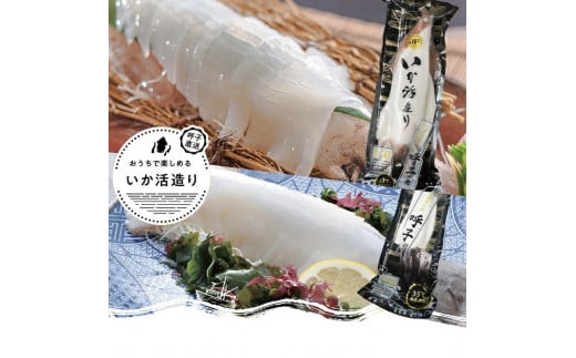 イカ姿造り食べ比べ(剣先約120g×1、松イカ約250g×1)