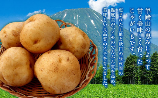 2024年秋収穫!新じゃがいも】キタアカリ20Kg - 北海道喜茂別町