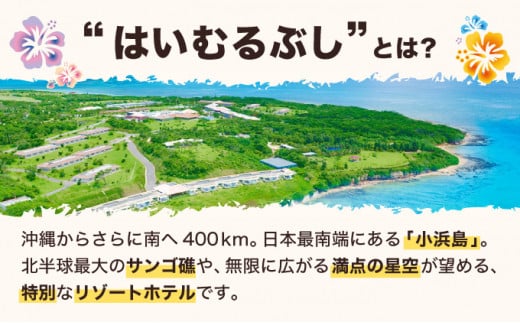 沖縄県竹富町のふるさと納税 旅行 チケット クーポン券 はいむるぶし限定 3万円分