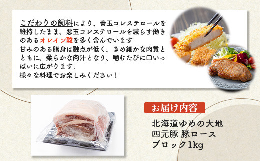 【北海道ブランド豚】「ゆめの大地」 豚ロースブロック 1kg