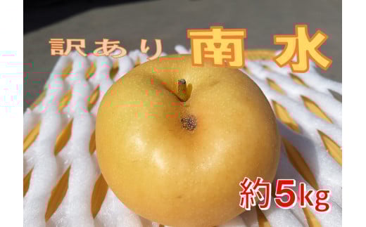 【013-39】令和7年9月中旬ごろより発送　本当に甘い信州が生んだ甘い梨！訳あり　南水　約5キロ（なし・梨・ナシ・なんすい） 1531062 - 長野県伊那市