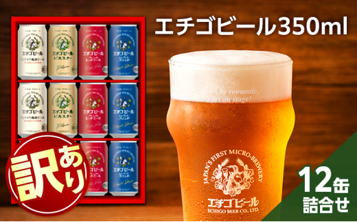 【訳アリ】エチゴビール詰め合わせEG-12N 1261910 - 新潟県新潟市