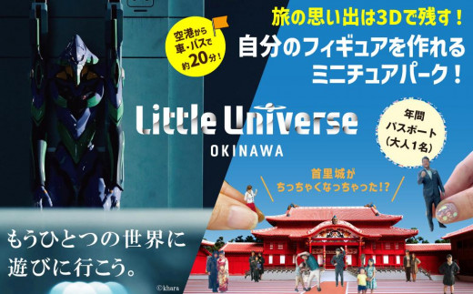 Little Universe 年間パスポート (大人1 名) 1259275 - 沖縄県豊見城市