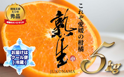 熟生 せとか 秀品 Lサイズ 5kg 冷蔵配送 要冷蔵保管 2025年 5月発送 柑橘 くだもの 愛媛 松山 サンマルシェ 1259470 - 愛媛県松山市