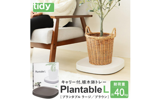 tidy ティディ Plantable L（キャスター付植木鉢トレイ）【ブラウン】015EB11N.／Lサイズ 台 観葉植物 トレイ プランター 受け皿 受皿 鉢皿 らくらく移動 可動式 軽量 ガーデニング リビング オフィス 玄関 掃除用品 掃除 お掃除 日用品 インテリア 雑貨 おしゃれ