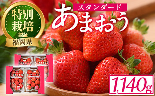 ＜予約受付中！2024年12月中旬より順次発送予定＞うるう農園のスタンダードあまおう(計1.14kg・285g×4P) ふるさと納税 春日市 特産品 苺 いちご イチゴ 果物 フルーツ 国産 福岡県 ヨーグルト ジャム スムージー 冷蔵 特別栽培＜離島配送不可＞【ksg1219】【うるう農園】 885826 - 福岡県春日市