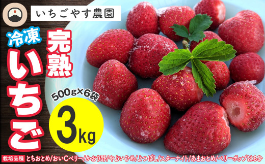 冷凍 完熟いちご３kg（500g×6袋）／いちごやす農園 1275033 - 千葉県富津市