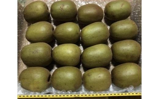 キウイフルーツ（レインボーレッド2kg）と追熟剤セット 1259237 - 鳥取県琴浦町