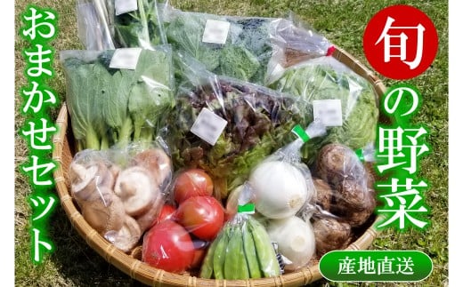 旬の野菜おまかせセット 1263408 - 広島県北広島町